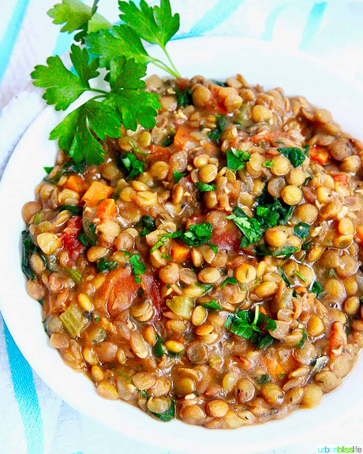 bowl of lentil soup topped with chopped parsley in a large white bowl.