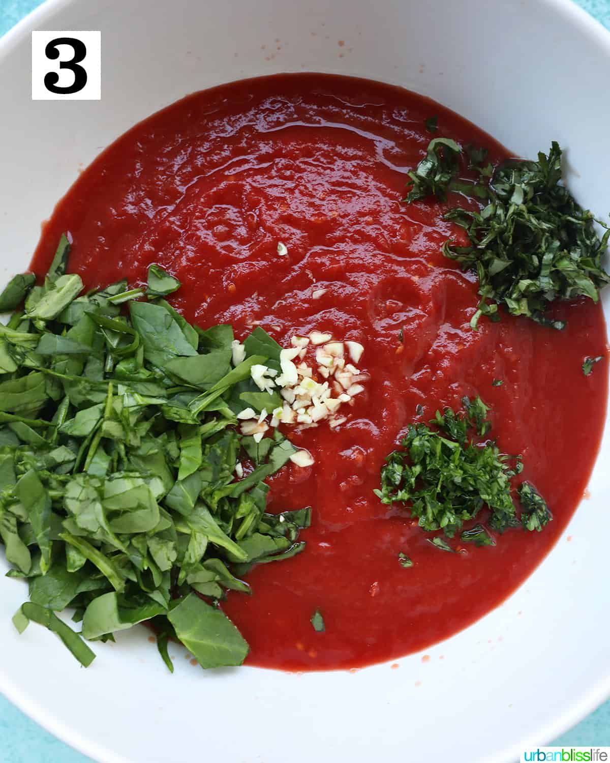 white bowl with tomato sauce, garlic, and herbs to make a marinara sauce.