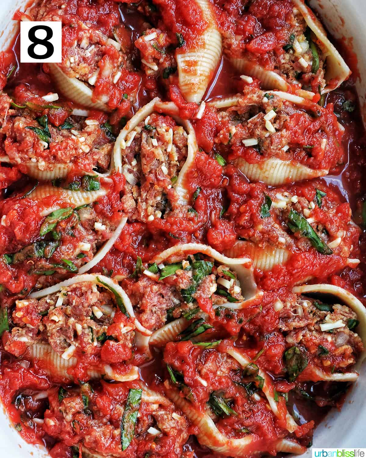 stuffed shells with ground beef topped with more marinara sauce.
