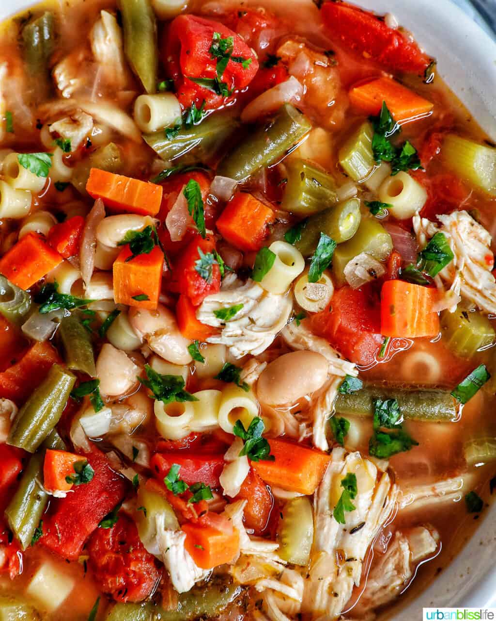 chicken minestrone soup in a white bowl.