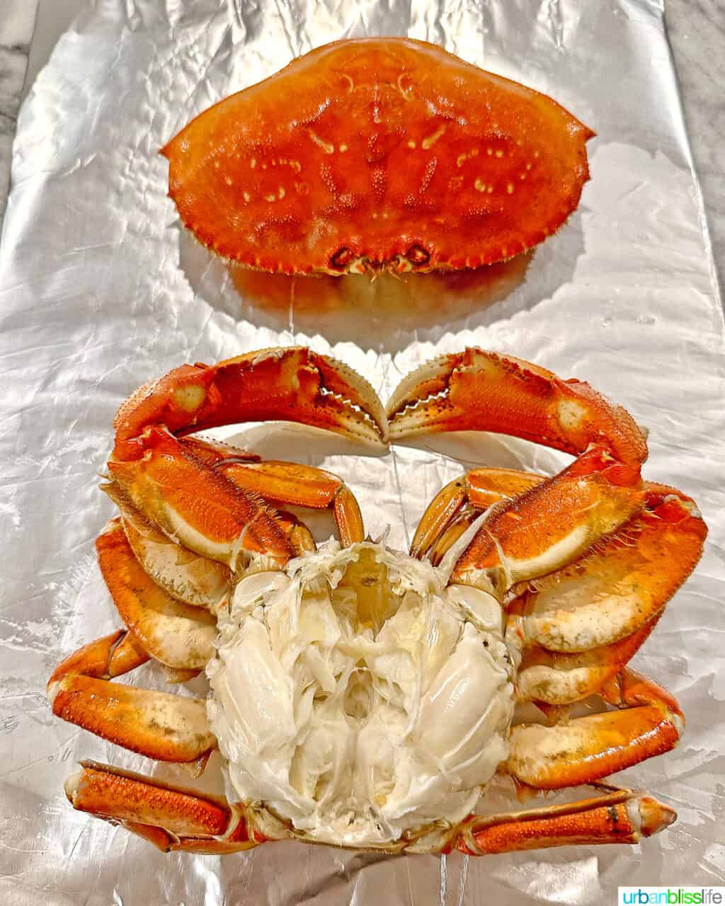 A cooked and cleaned Dungeness crab on aluminum foil.