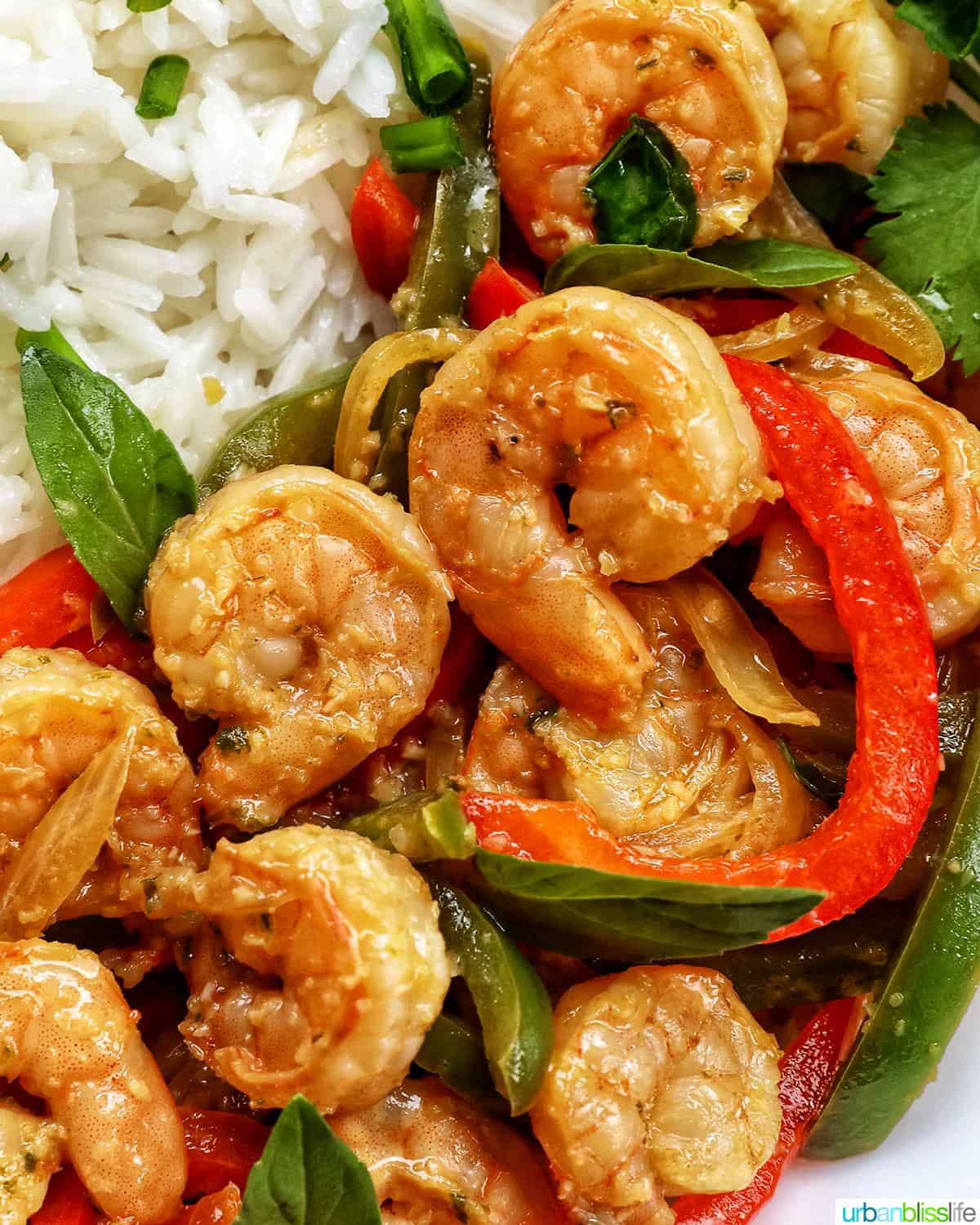 Thai Basil Shrimp with red and green peppers on a bed of rice.