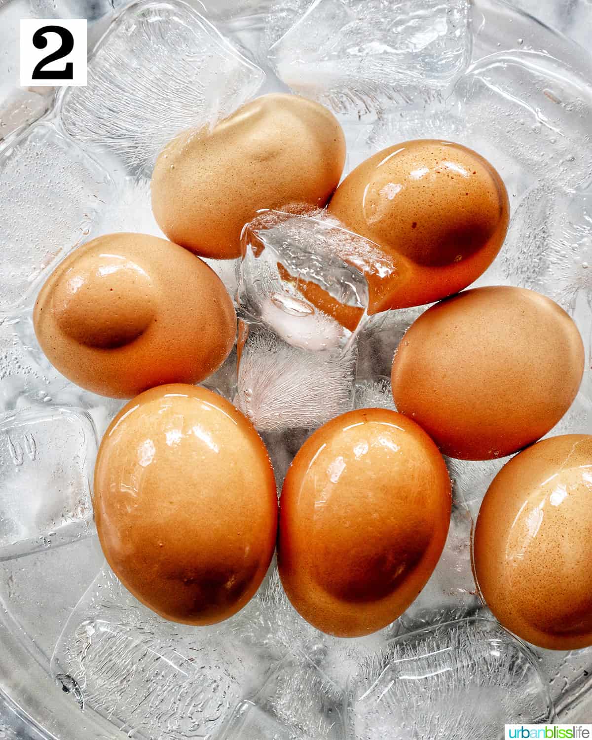 several hardboiled brown eggs in a large ice water bath.