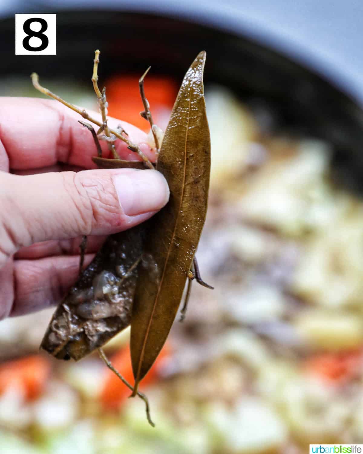 hand holding up cooked bay leaves and thyme sprigs above a dutch oven with brisket and vegetables.