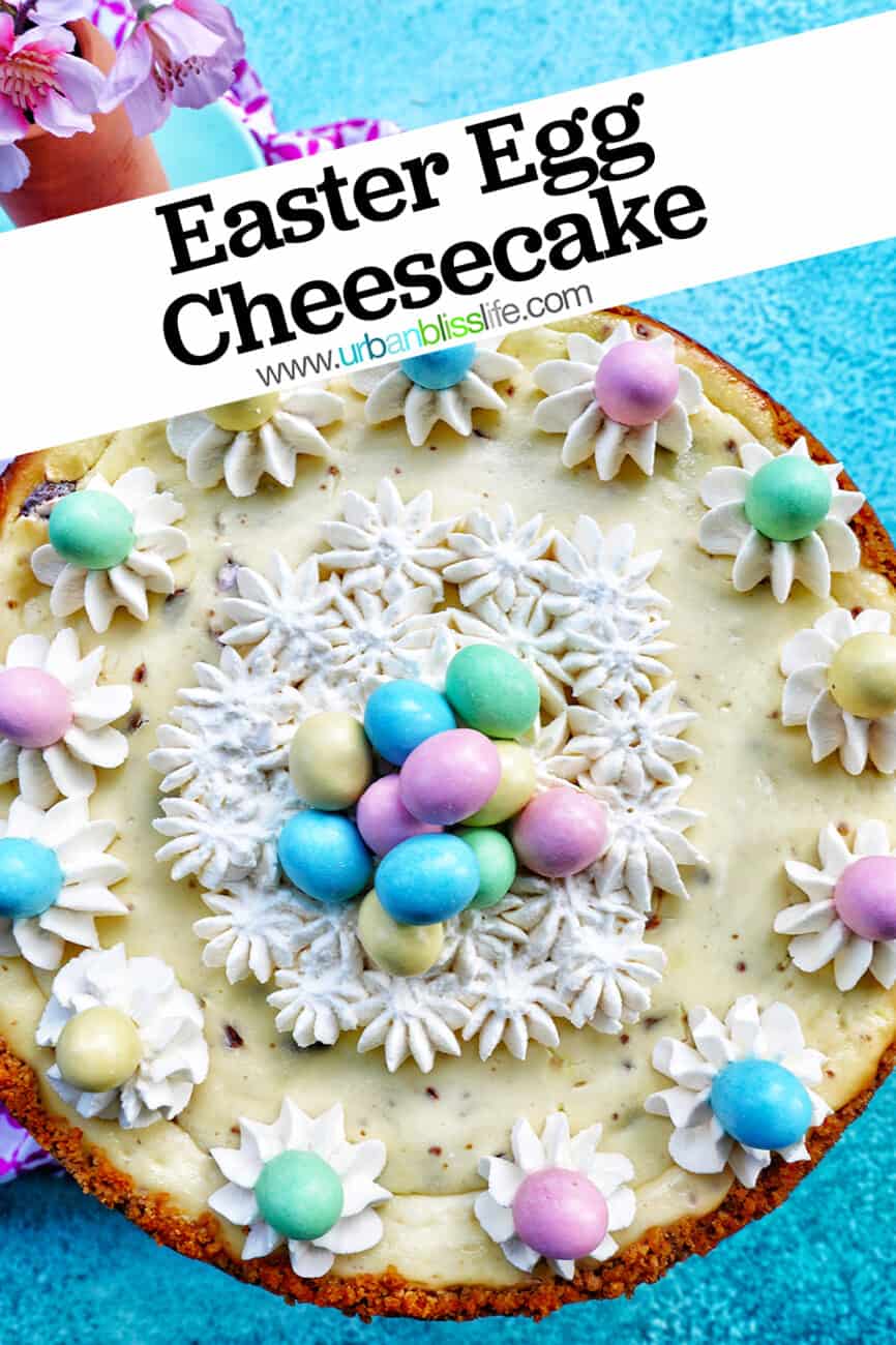 easter egg cheesecake with whipped cream and mini chocolate eggs and text that reads Easter Egg Cheesecake.