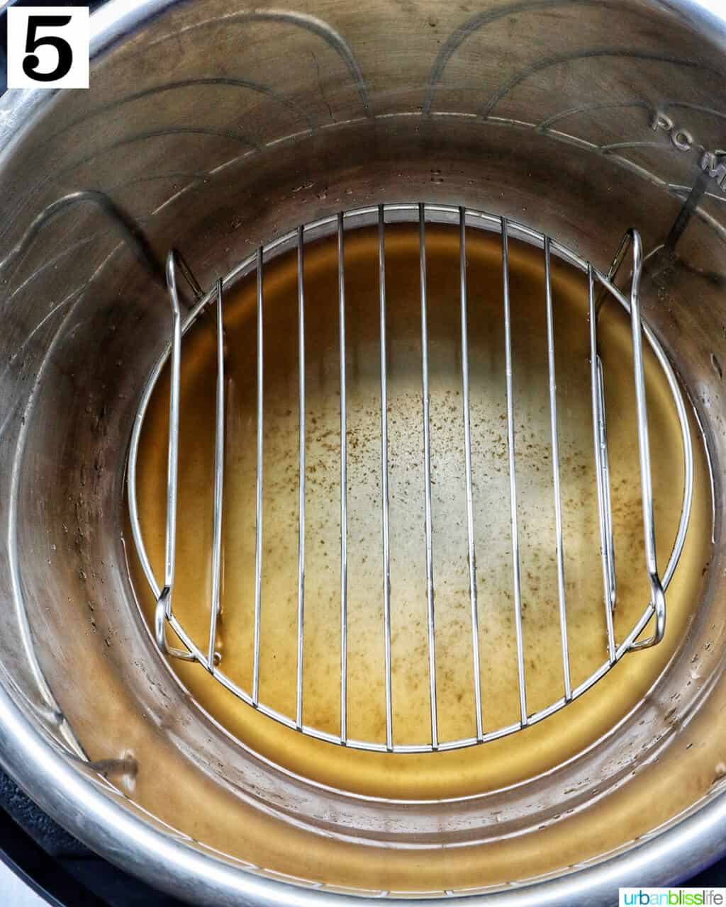 rack placed into the bottom of an instant pot.