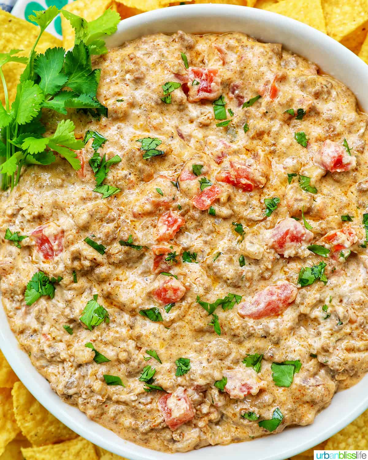 taco dip with ground beef, tomatoes, and cilantro in a large white bowl.