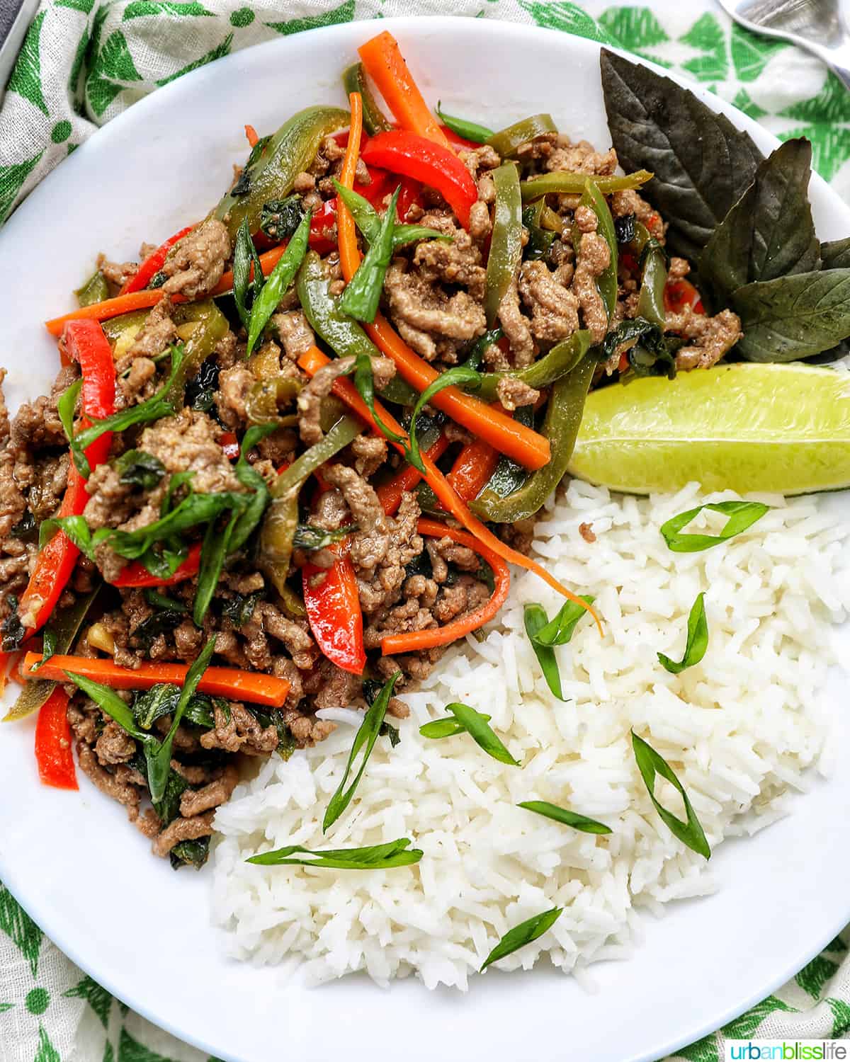 Thai basil beef with red peppers, green onions, and white rice.