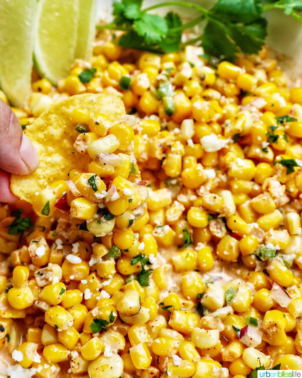 hand scooping a tortilla chip into a big bowl of elote corn dip.