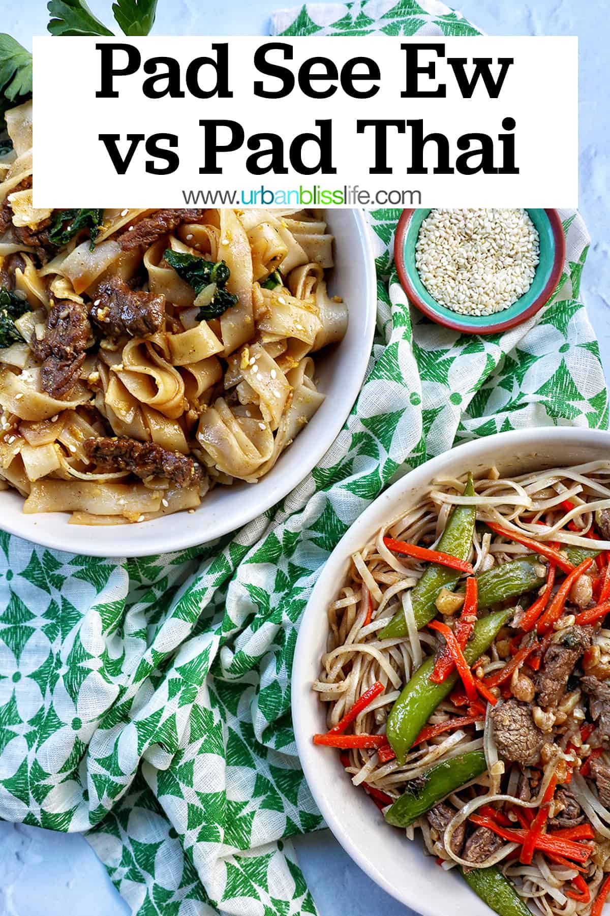 Pad See Ew Vs Pad Thai - Urban Bliss Life