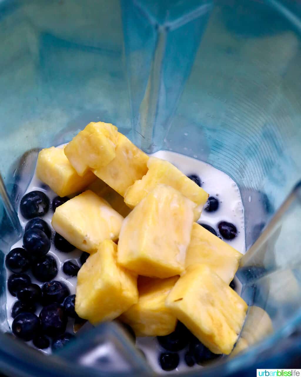 pineapple chunks and blueberries in a Vitamix blender