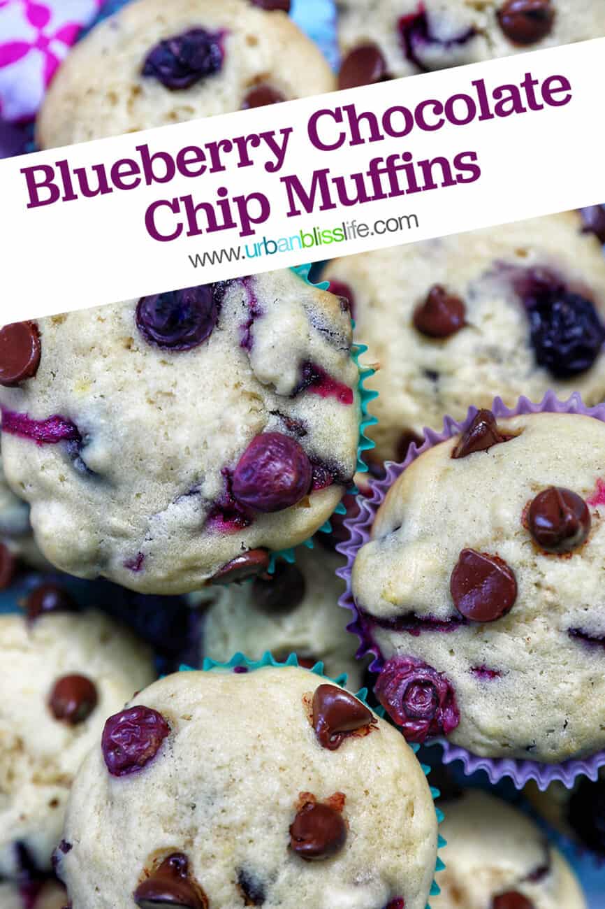 several blueberry chocolate chip muffins stacked on top of each other on a plate with title text that reads "Blueberry Chocolate Chip Muffins."