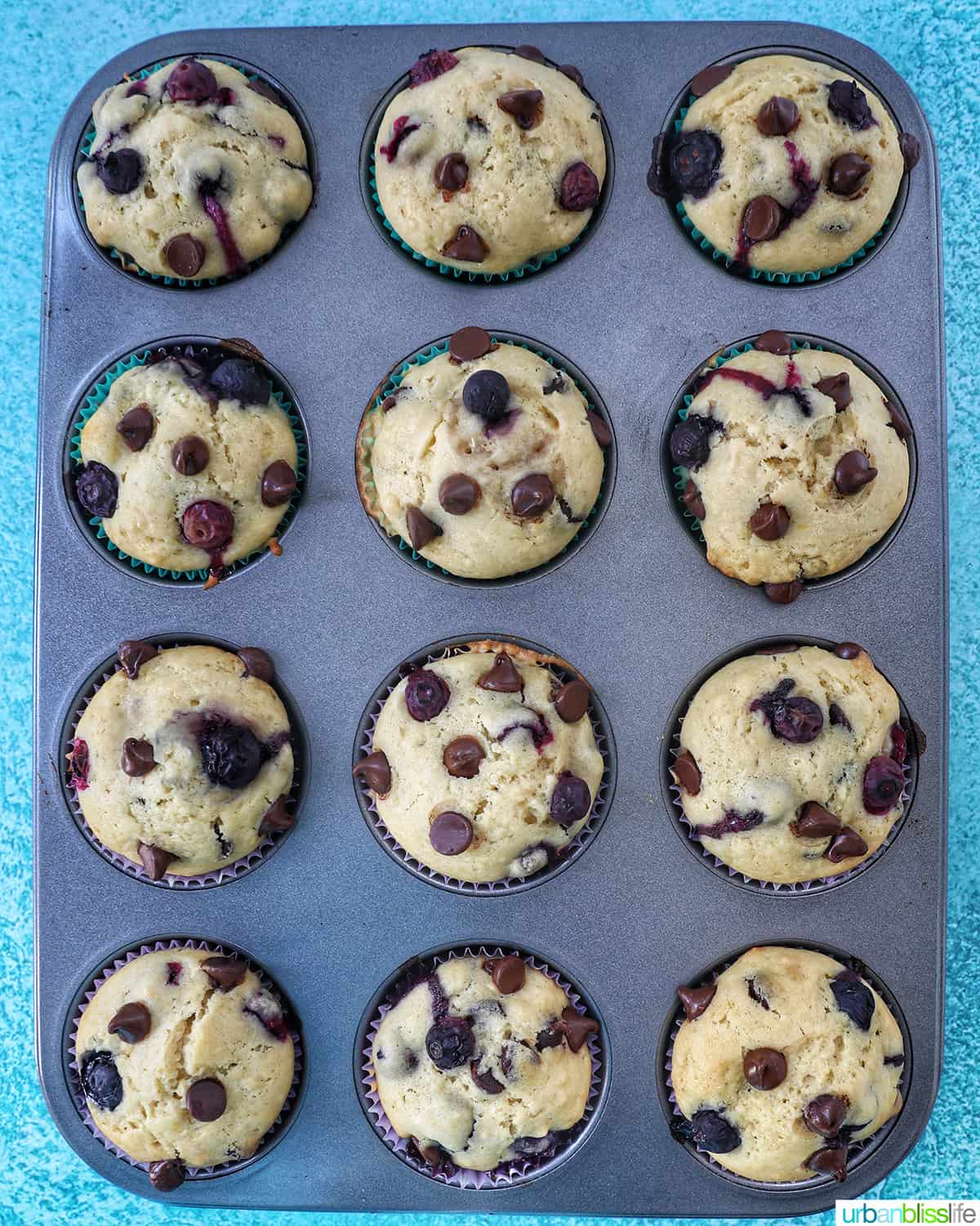 baked several blueberry chocolate chip muffins in a muffin tin.