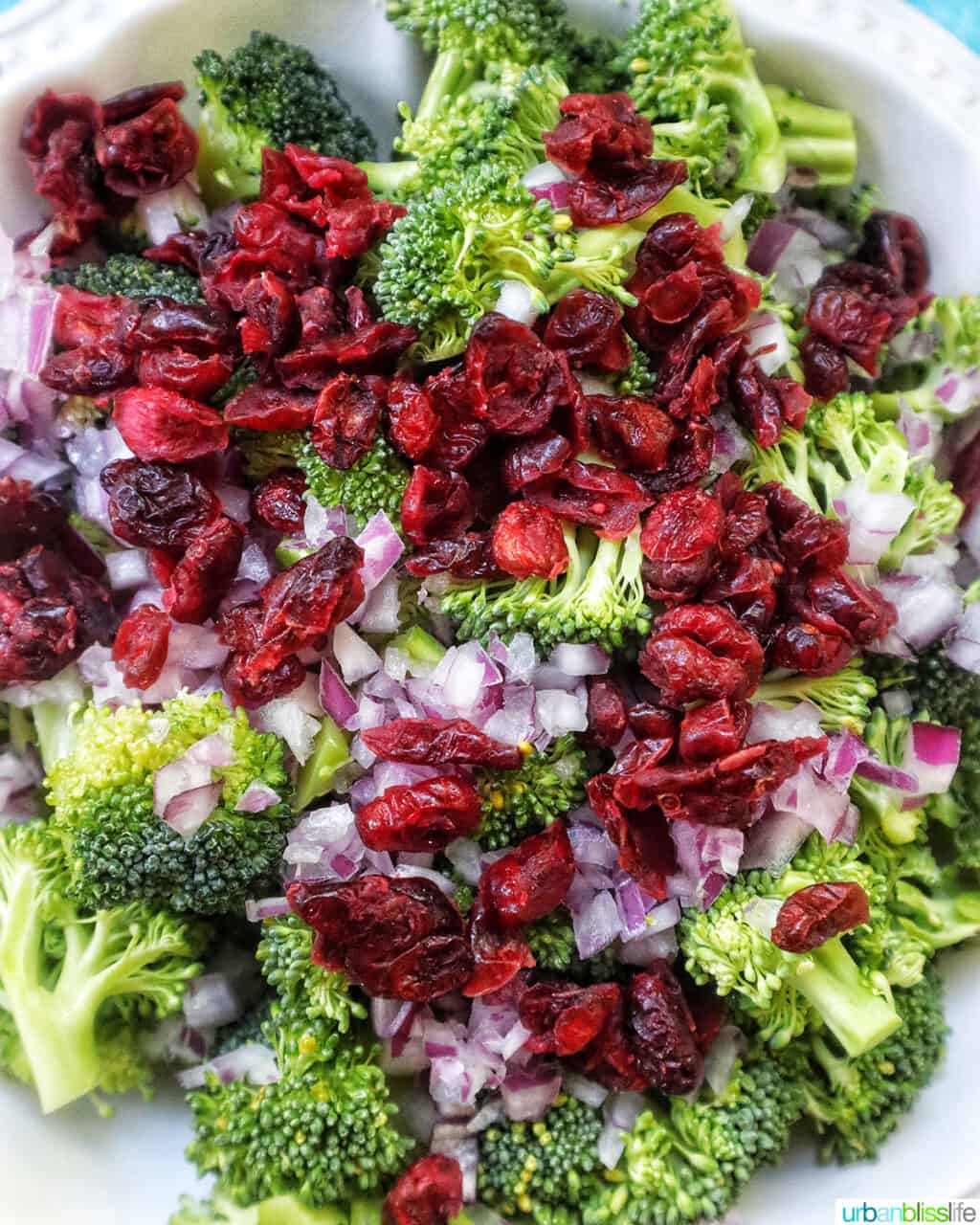 dried cranberries on top of broccoli crunch salad.