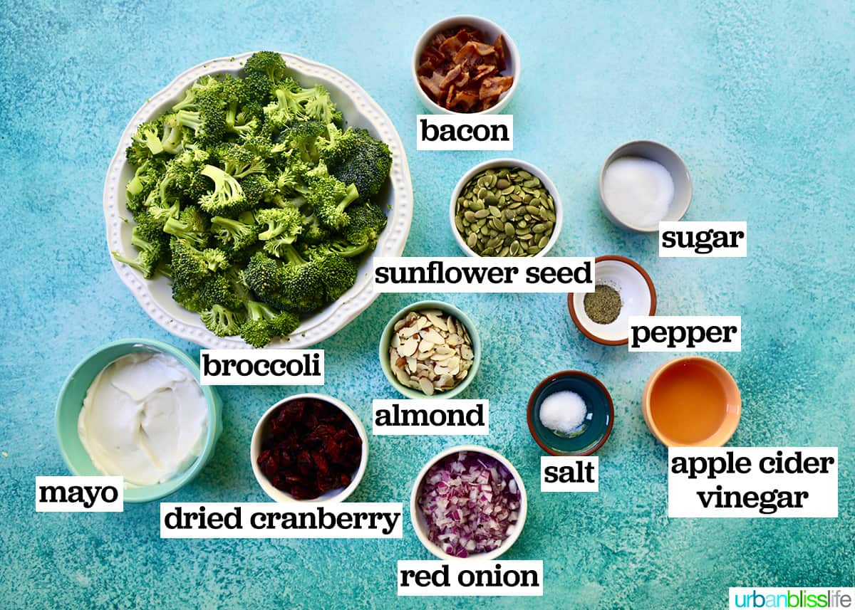 bowls of ingredients to make broccoli crunch salad on a blue background.