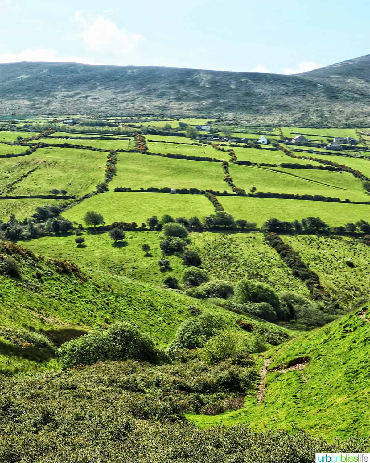 green hills and fields near Dingle, Ireland