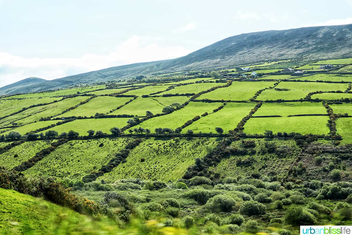 green hills near dingle, ireland