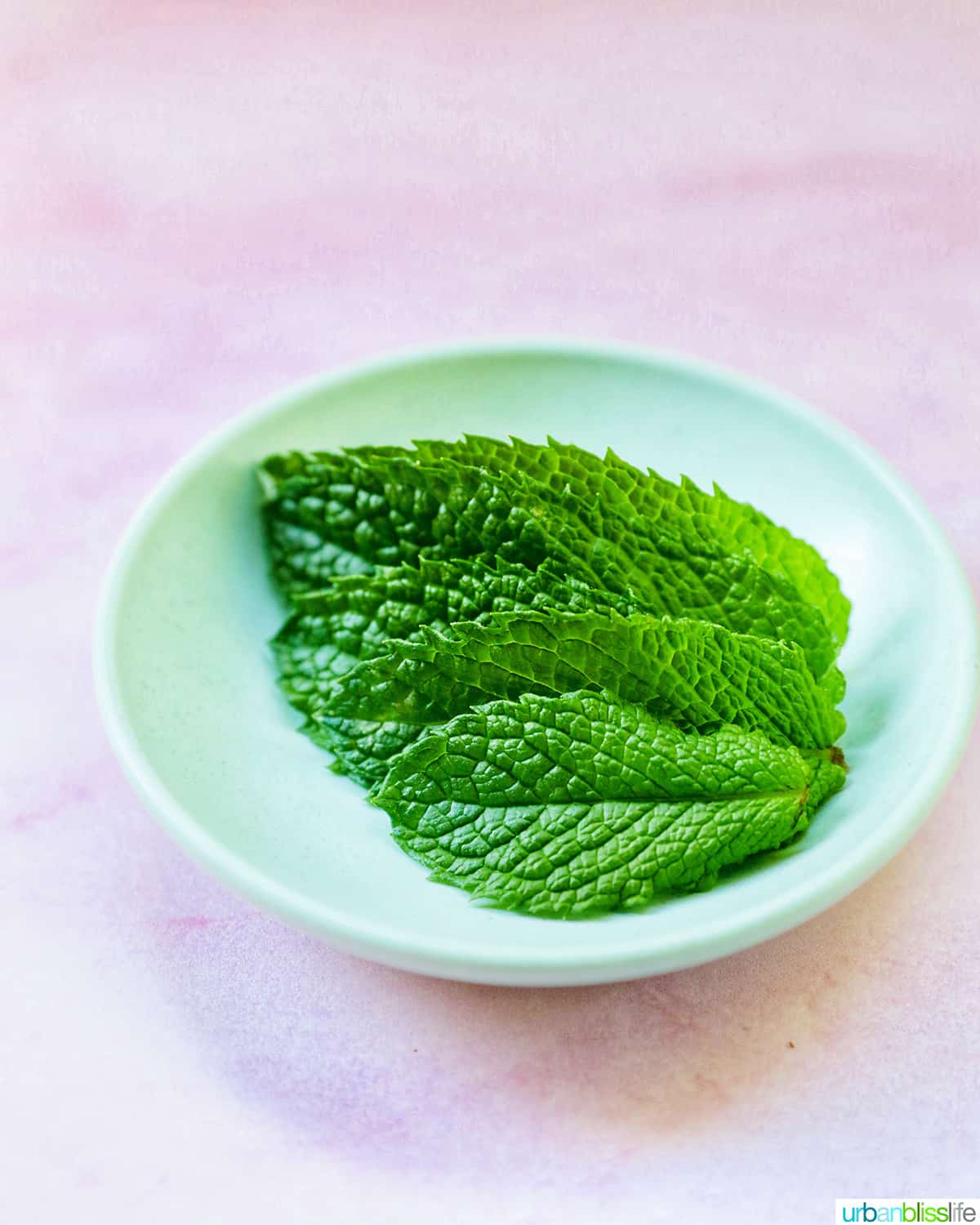 bowl of mint leaves to add to mojitos.