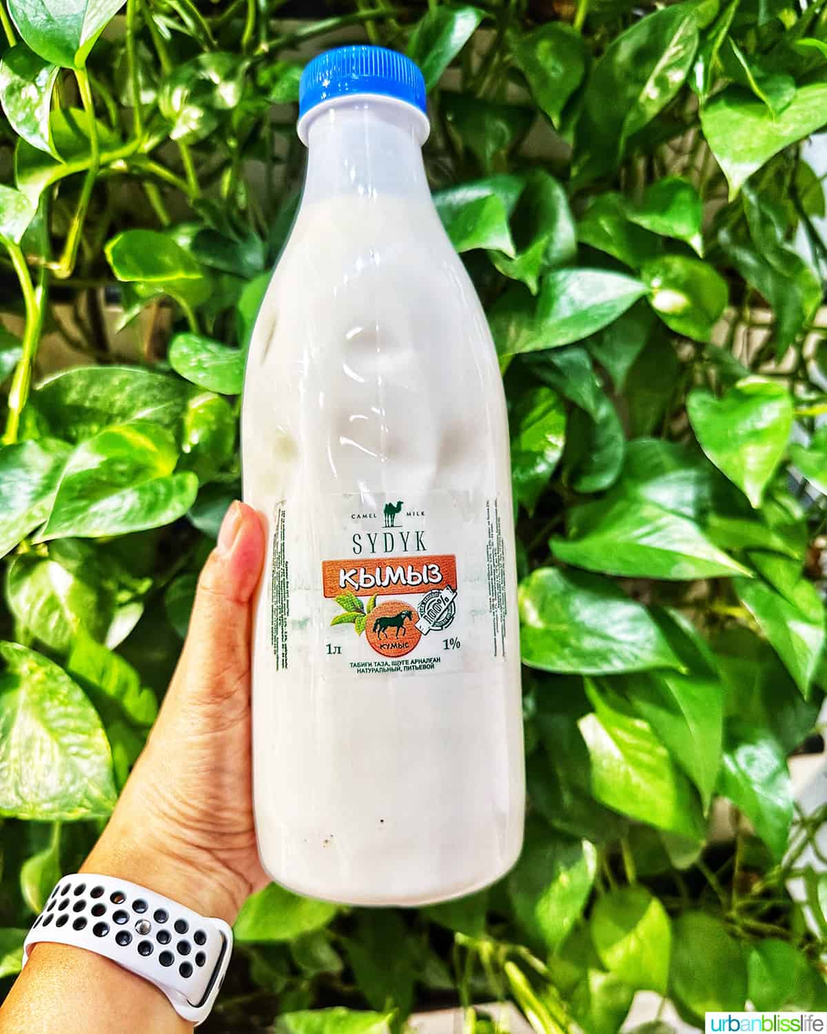 hand holding a bottle of mare's milk against a backdrop of green leaves.