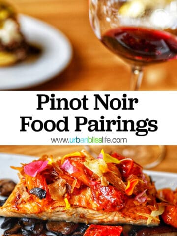 glass of Pinot Noir red wine with salmon and title text that reads "Pinot Noir Food Pairings."