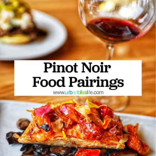 glass of Pinot Noir red wine with salmon and title text that reads "Pinot Noir Food Pairings."