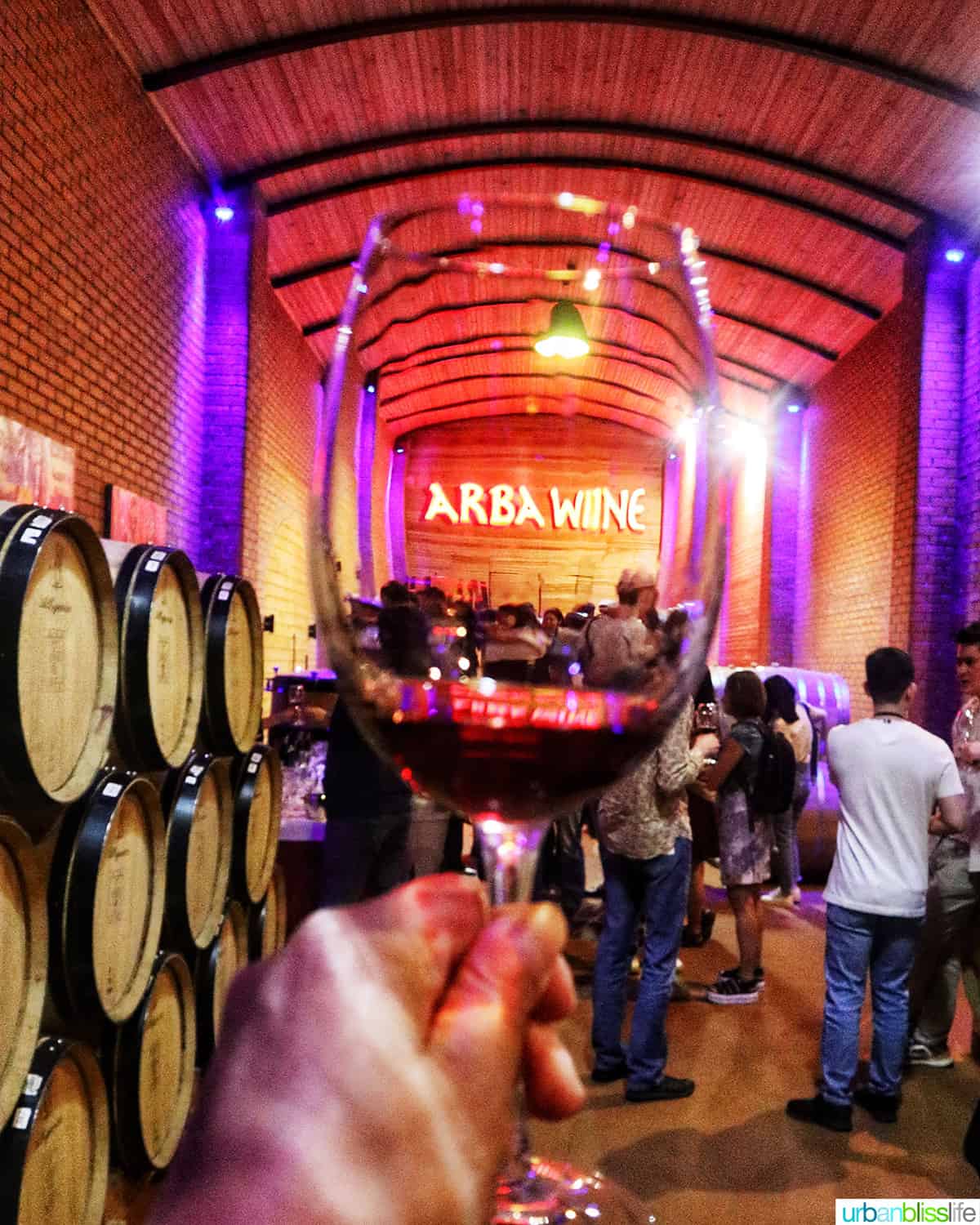 hand holding a glass of red wine up with "arba Wine" in neon lights in the background within a barrel room in Almaty Kazakhstan.