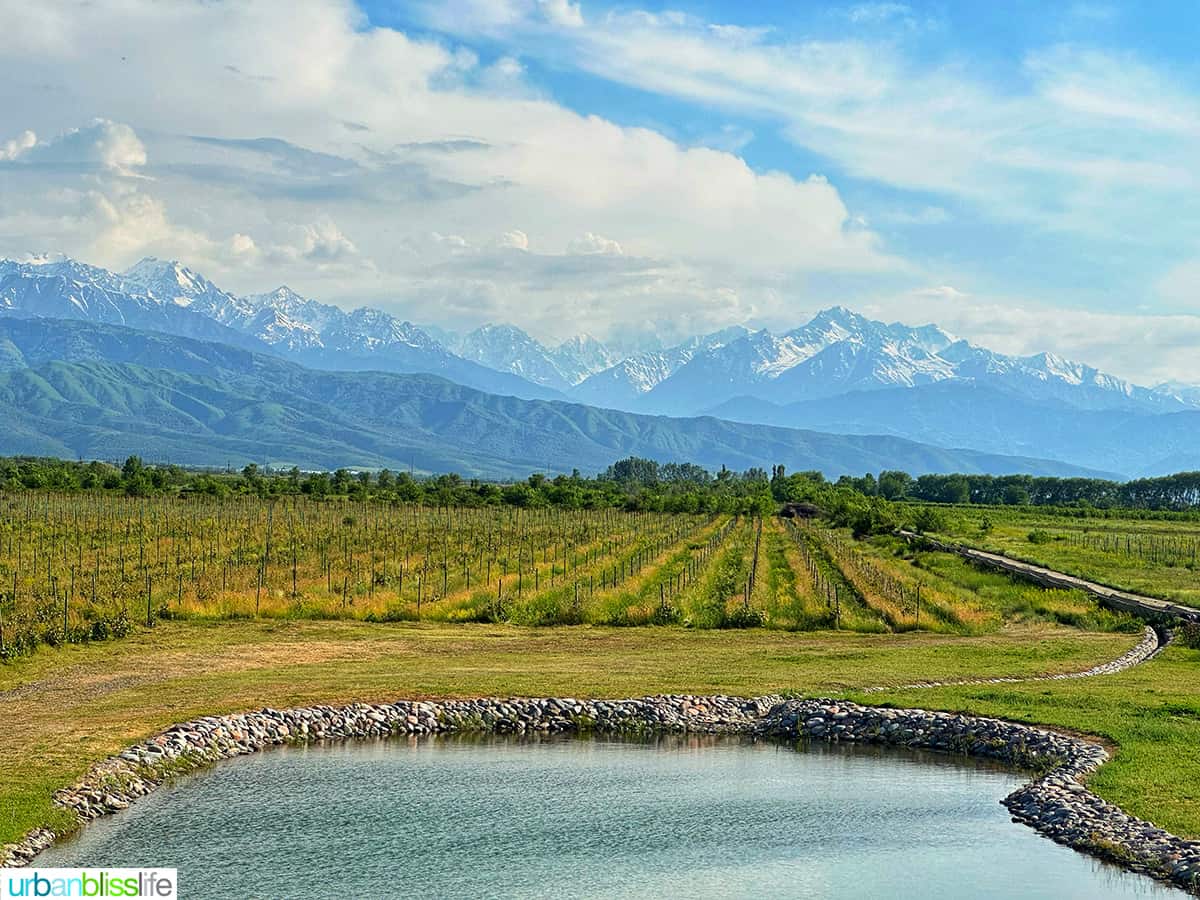 Arba wine vineyards outside of Almaty Kazakhstan.