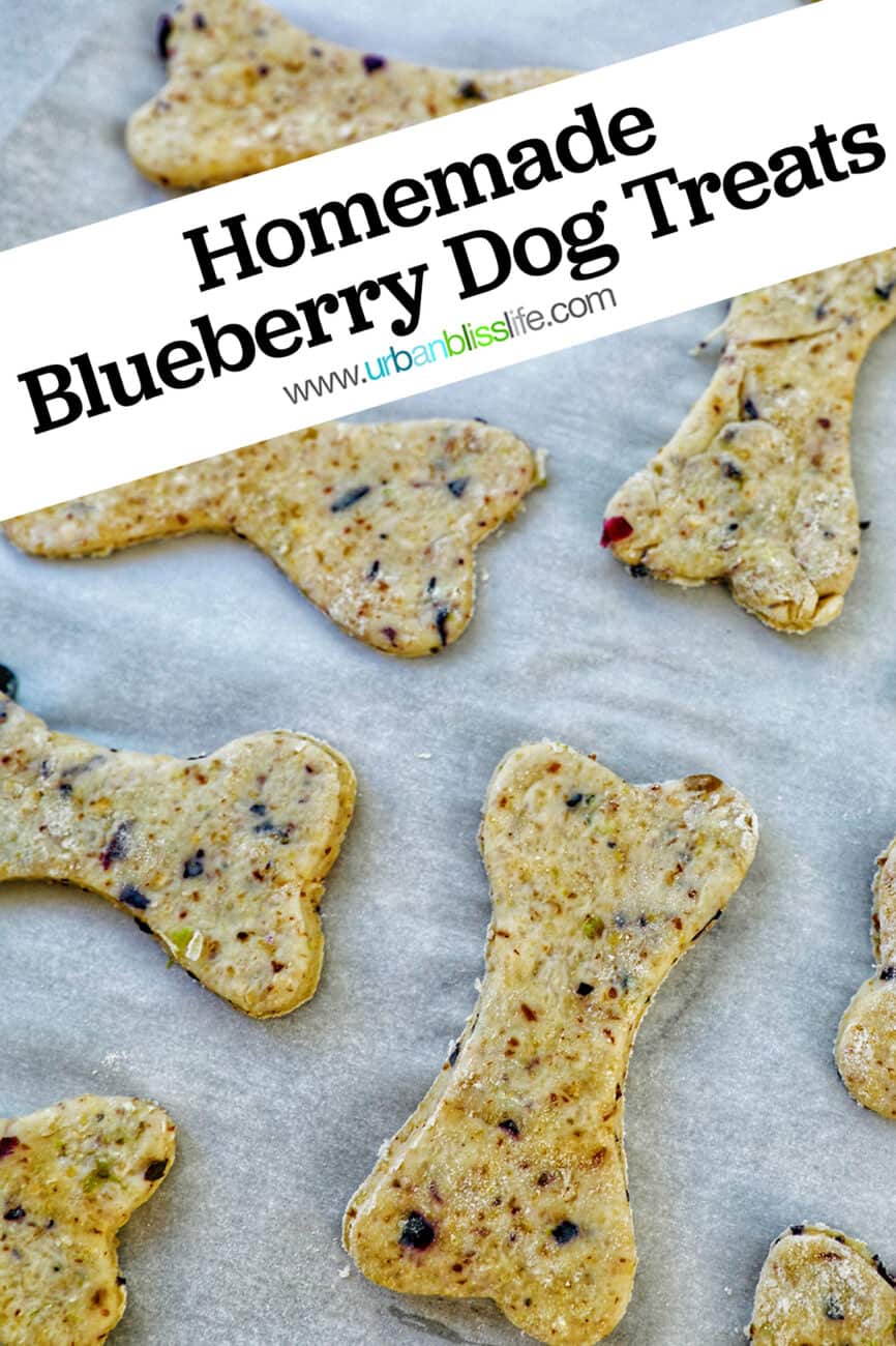 stack of homemade blueberry dog treats cut out in the shape of dog bones on a dog paw printed towel with title text overlay.