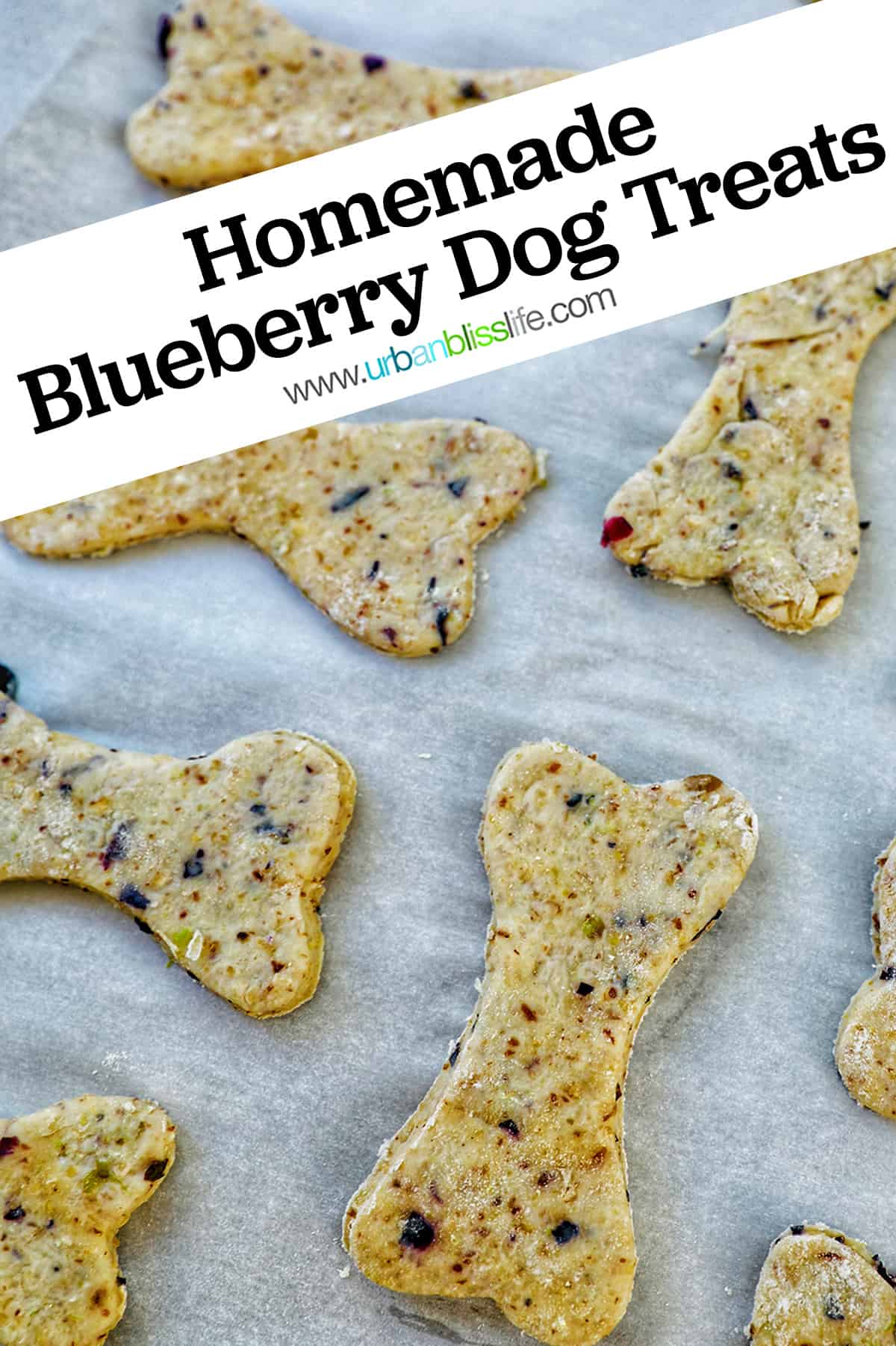 Blueberry Dog Treats Urban Bliss Life