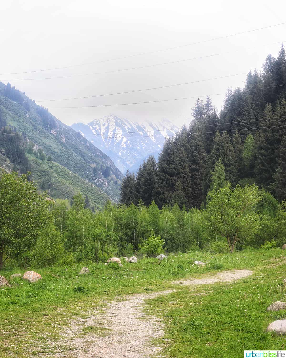 mountains and trees and a hiking trail near almaty kazakhstan.