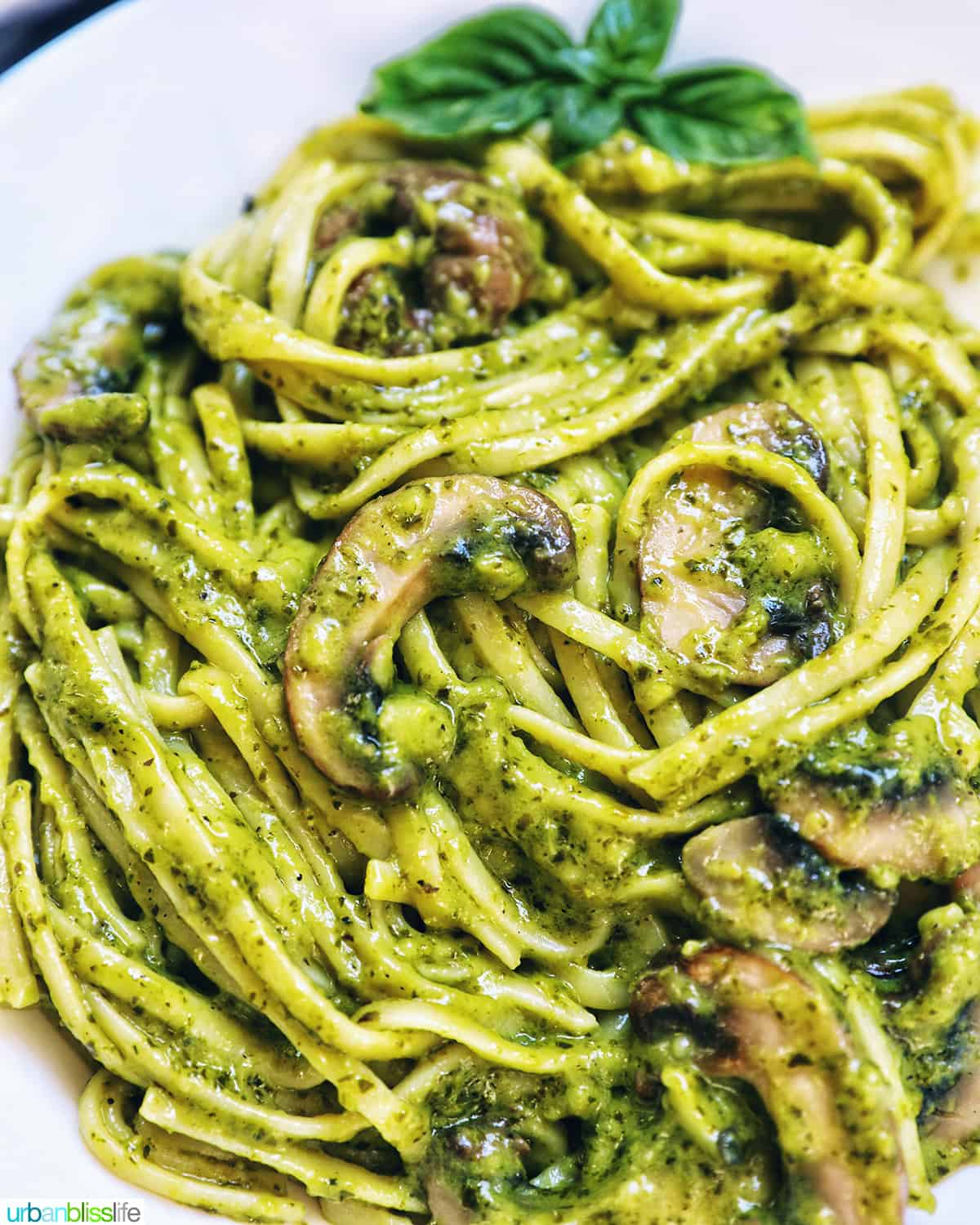 closeup of linguine pasta in pesto sauce with chopped mushrooms.