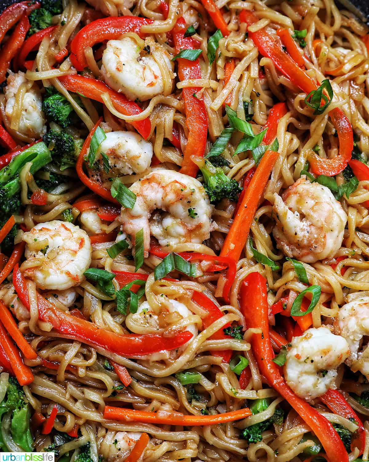 bowl of prawn chow mein noodles.