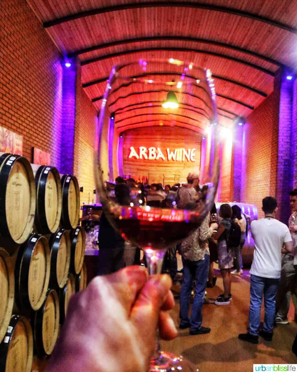 hand holding up a glass of red Kazakh wine with the Arbe Wine lighted logo on the wall in the background and wine barrels on the sides.