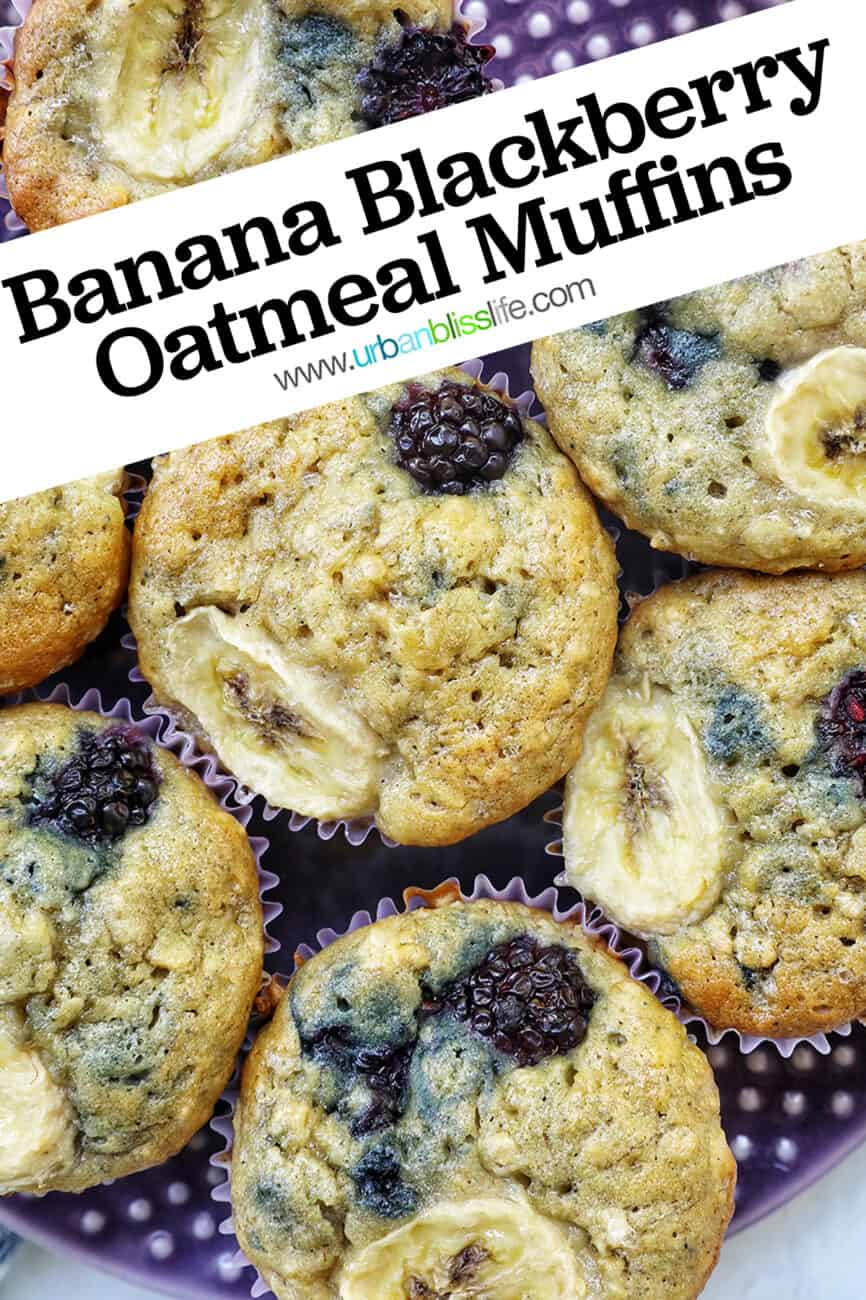 purple plate with several banana blackberry oatmeal muffins on top with title text.