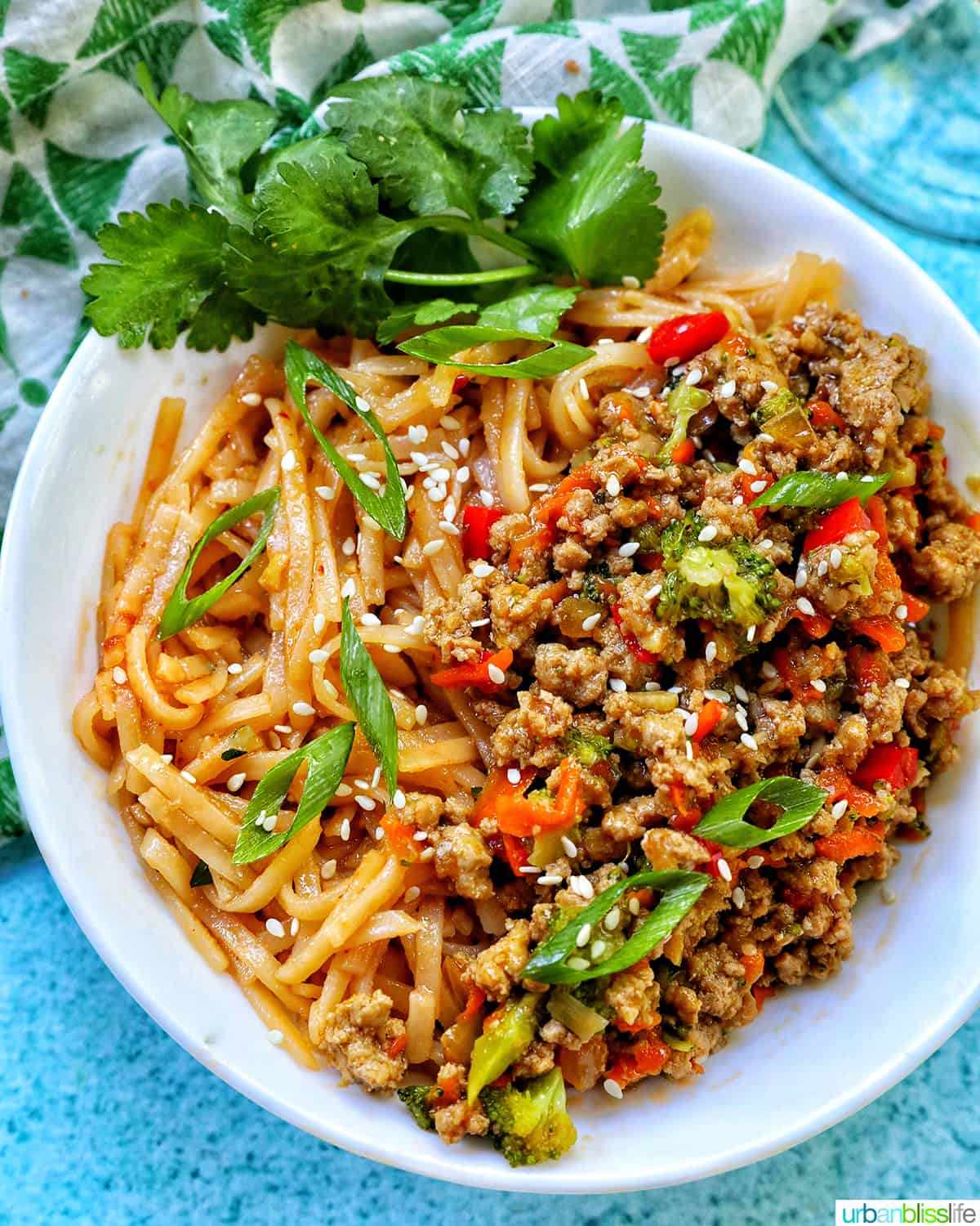 Ground Turkey Teriyaki with Chili Garlic Noodles with green onions and sesame seeds in a white bowl.