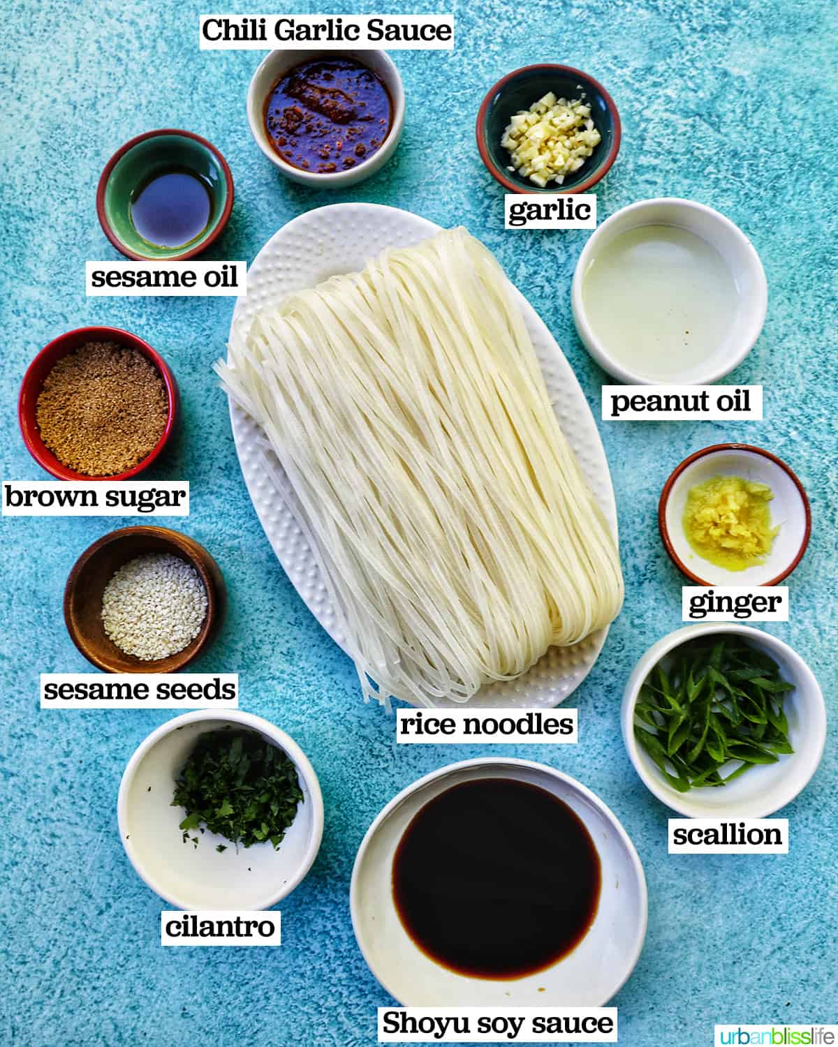bowls of ingredients to make chili garlic noodles.