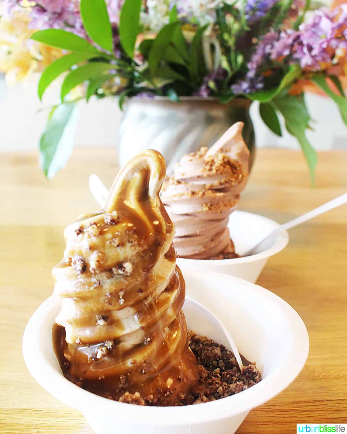 two bowls of vegan frozen yogurt at Eb and Bean in Portland, Oregon.