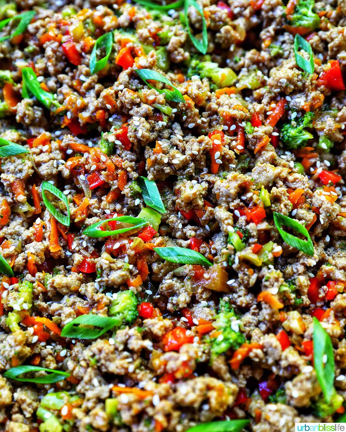 Ground Turkey Teriyaki brown rice bowl with green onions, broccoli, carrots, and red bell peppers.