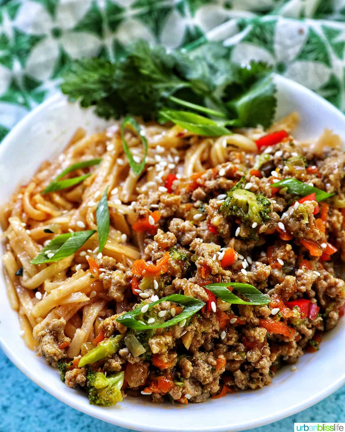 Ground Turkey
Teriyaki with green onions, broccoli, carrots, and red bell peppers, in a white bowl with cilantro garnish.