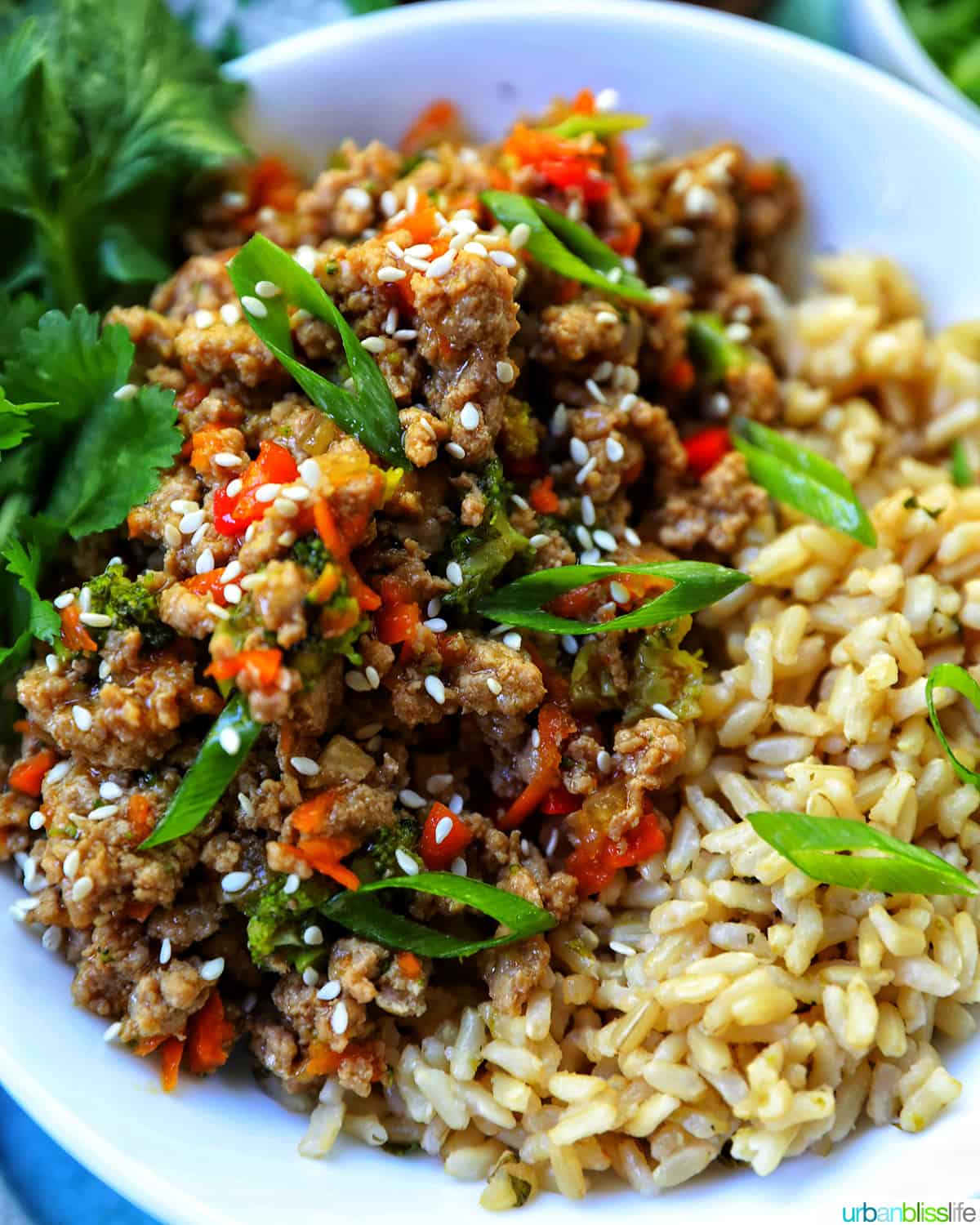 white bowl with cilantro lime brown rice and ground turkey teriyaki.