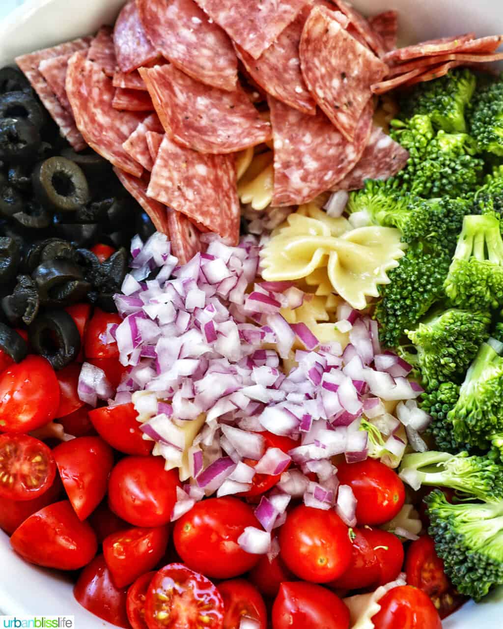 Ingredients to make italian bowtie pasta salad: tomatoes, red onions, broccoli, pasta, salami, and black olives.