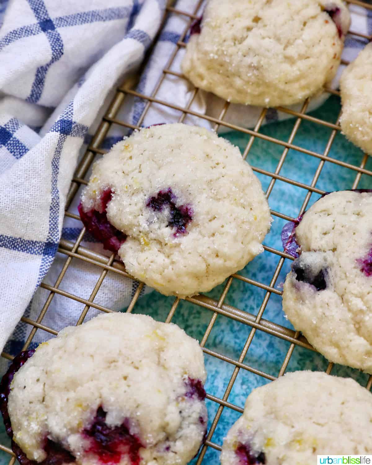 lemon blueberry cookies on a wire rack with white and blue napkin.