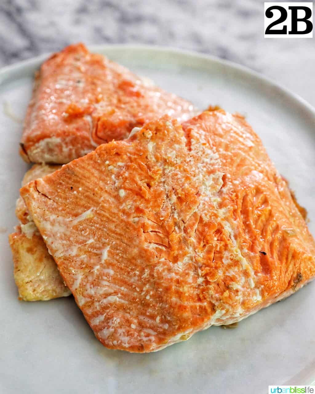 cooked salmon on a plate.