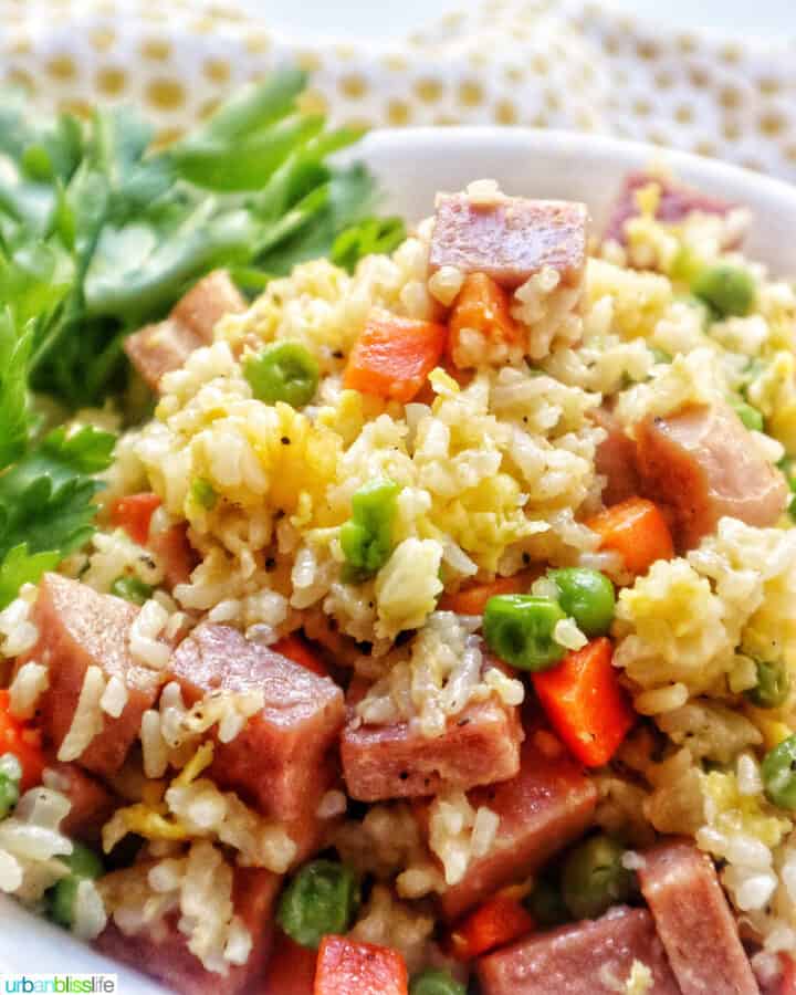 Spam Fried Rice - Urban Bliss Life