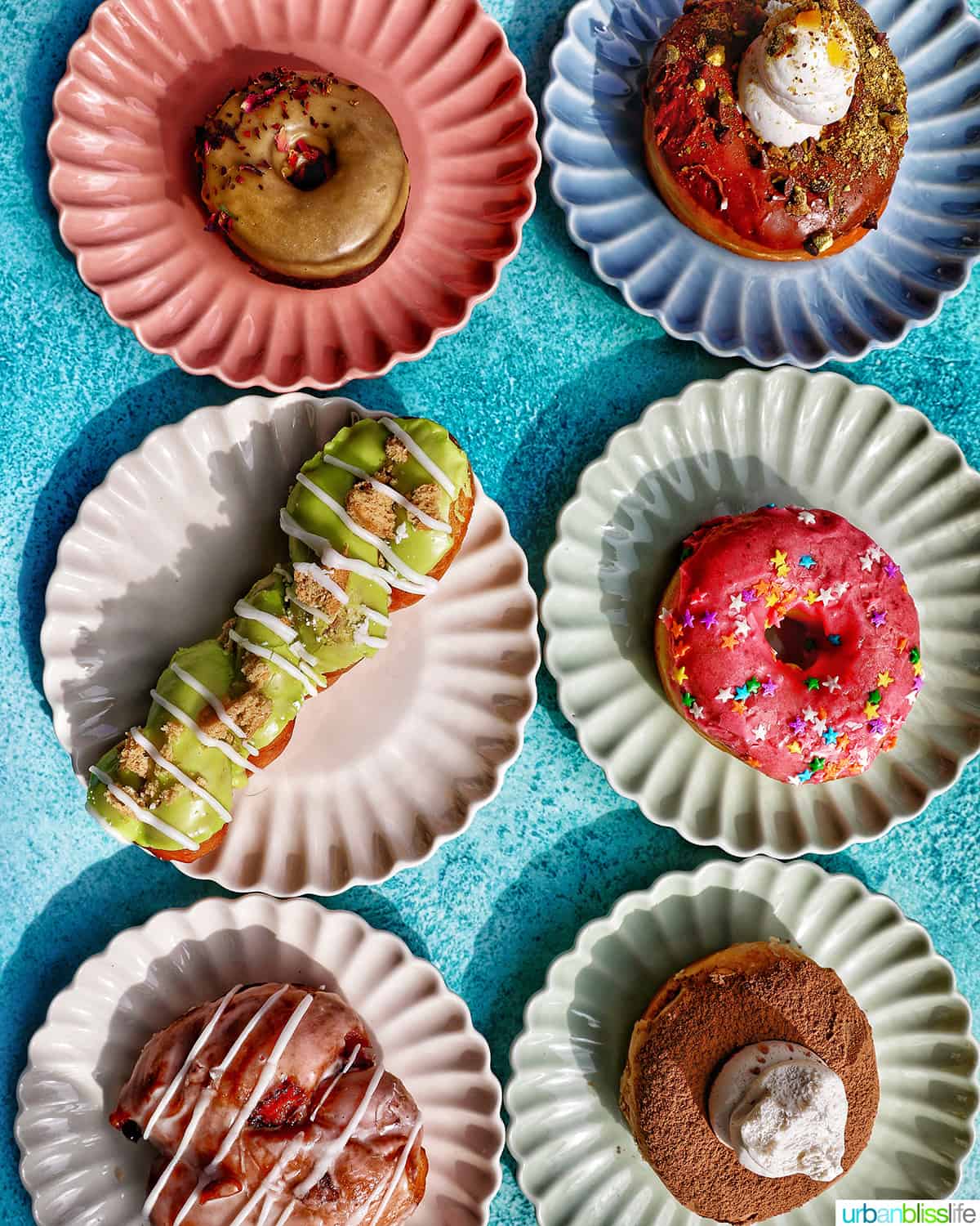 six colorful variety of vegan donuts from Doe Donuts in Portland, Oregon