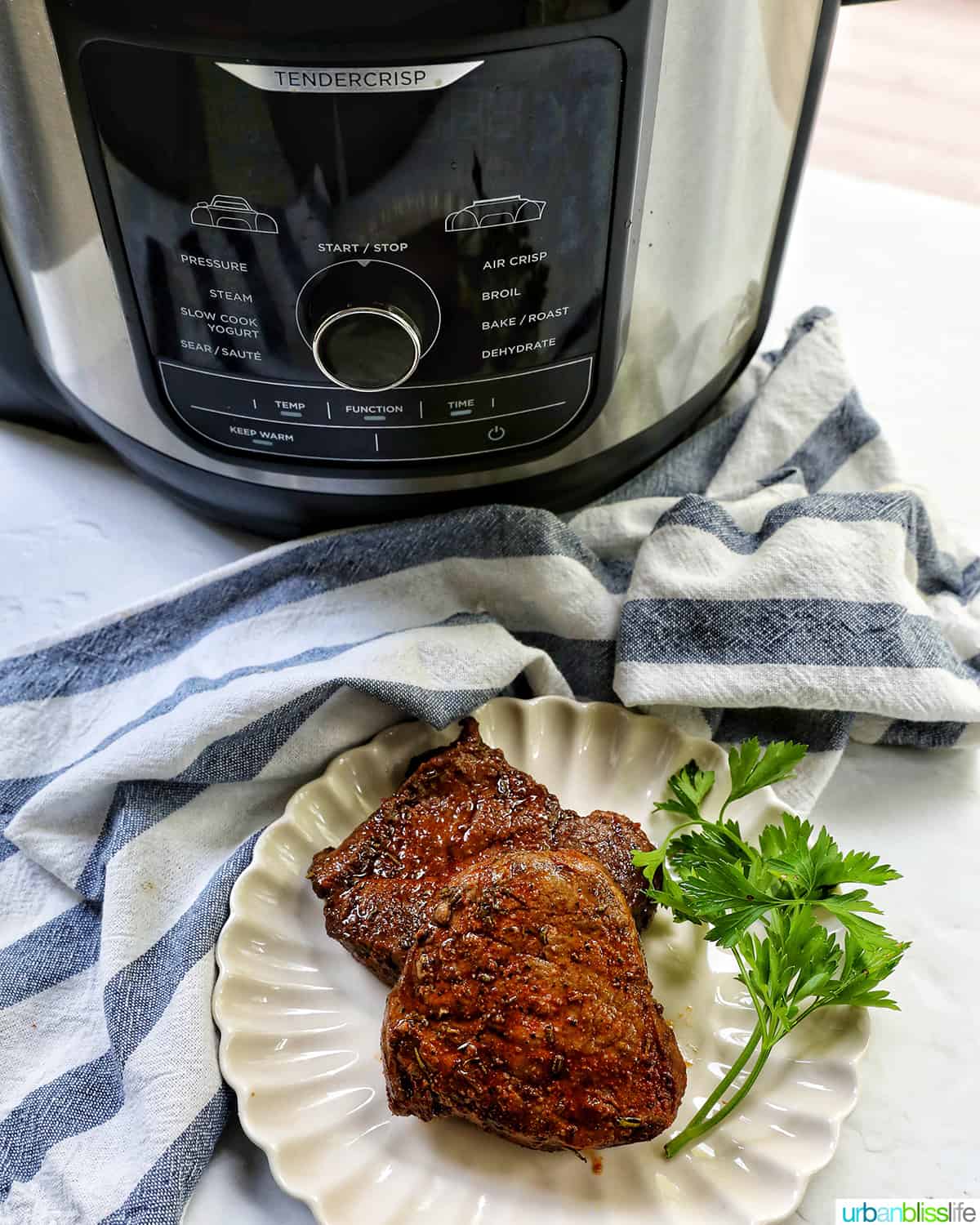 two filet mignons on a plate in front of an air fryer.