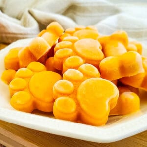 plate full of frozen pumpkin yogurt dog treats.