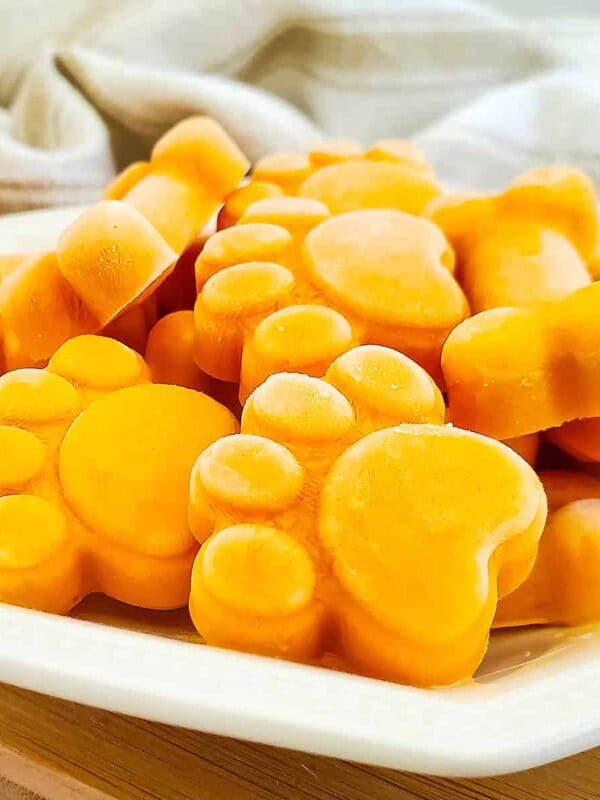 plate full of frozen pumpkin yogurt dog treats.
