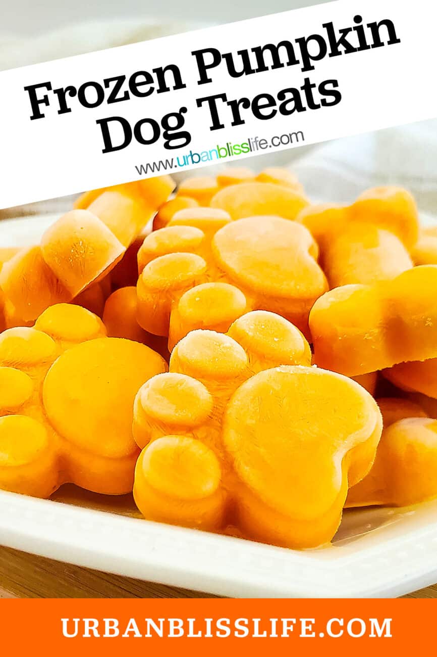 Canned pure best sale pumpkin for dogs