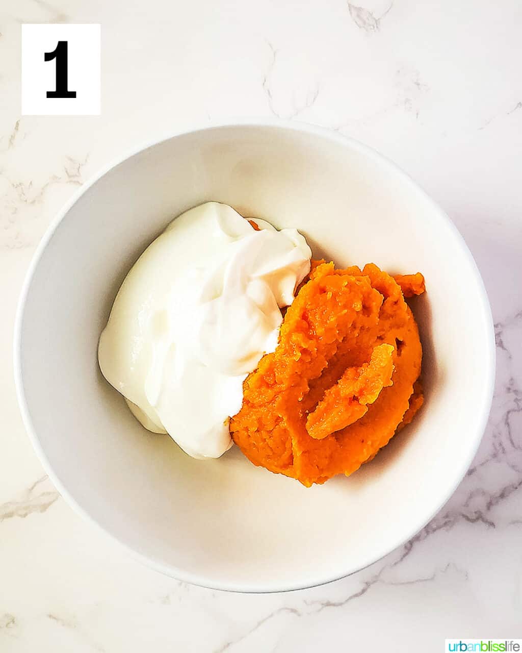 bowl with yogurt on one side and pumpkin puree on the other.